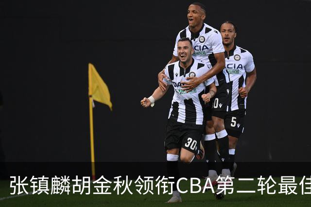 张镇麟胡金秋领衔CBA第二轮最佳阵容 付豪篮板称王