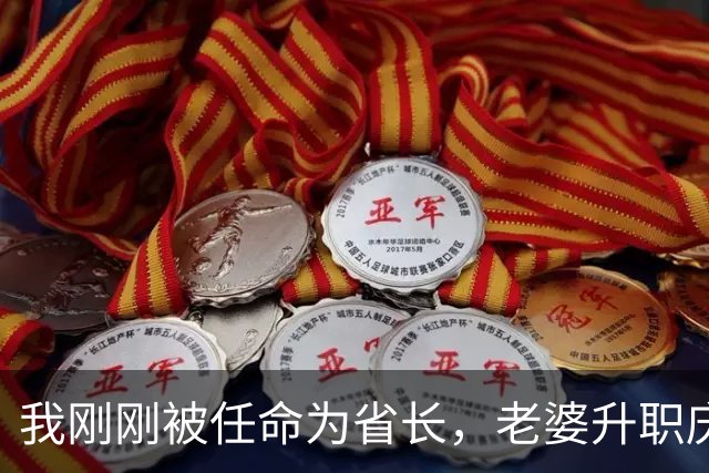 我刚刚被任命为省长，老婆升职庆功宴上岳母讽刺我爱攀附
