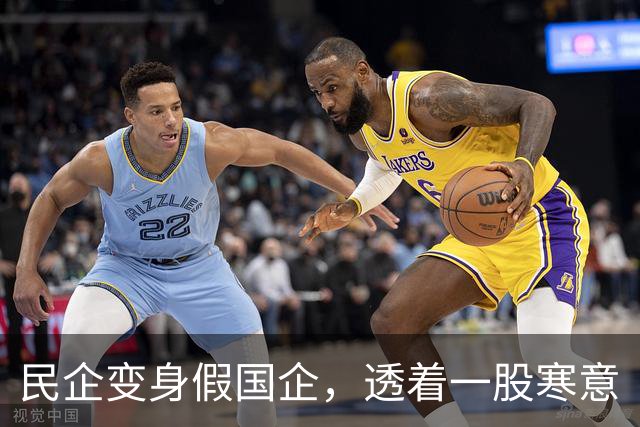 民企变身假国企，透着一股寒意