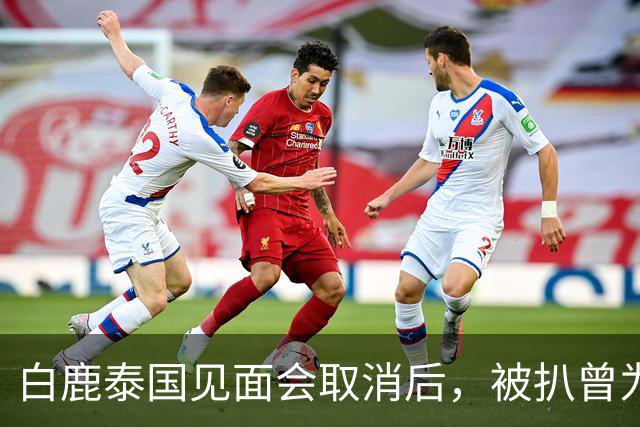 白鹿泰国见面会取消后，被扒曾为缅北拍宣传片，知情人爆更多内幕