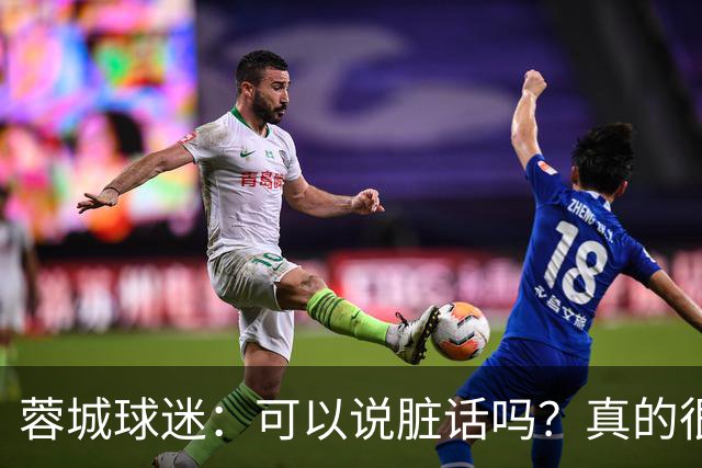 蓉城球迷：可以说脏话吗？真的很丢脸，主教练必须下课