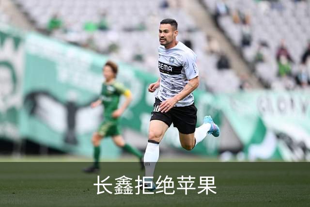 长鑫拒绝苹果