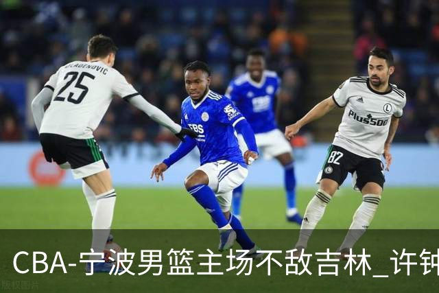 CBA-宁波男篮主场不敌吉林 许钟豪场边指挥